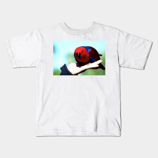 Eclectus Parrot - female Kids T-Shirt by GP1746